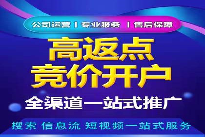 百度竞价广告运营实战：创意与执行的完美结合